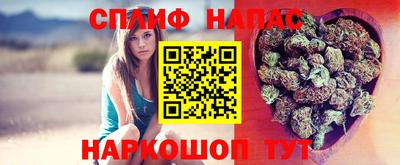 тгк Усть-Джегута